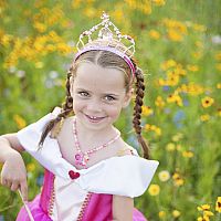Fairy Princess Tiara